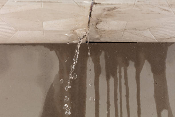 Professional Water Extraction technician working in Dawson, TX